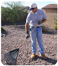 Raking a yard